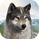 5163银河娱乐手机版汉化版下载-5163银河娱乐手机版汉化版2026最新版下载v1.0.71